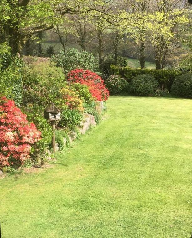 Bed and Breakfast Knole Farm Okehampton Zimmer foto